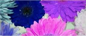 Tablou cu flori colorate (120x50 cm)