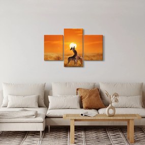 Tablou - Girafe în Parcul Național Serengeti (90x60 cm)