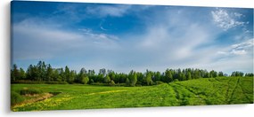 Tablou cu luncă (120x50 cm)