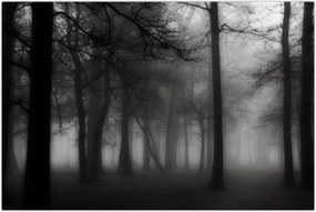 Tablou - Pădure în ceață (90x60 cm)