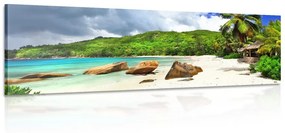 Tablou Seychelles tropical