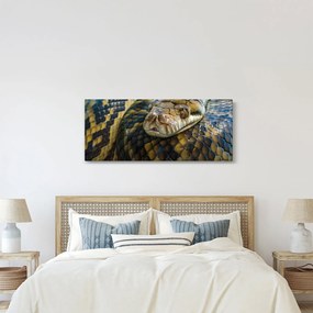 Tablou - Piton (120x50 cm)