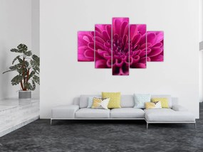 Tablou cu floare (150x105 cm)