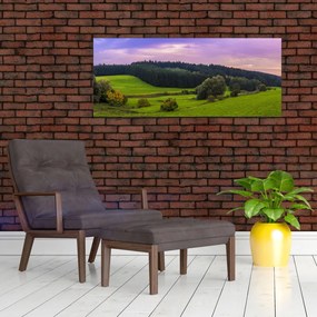 Tablou cu lunca (120x50 cm)
