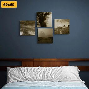 Set tablouri natura misterioasă în design sepia