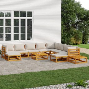 vidaXL Set mobilier grădină cu perne gri deschis, 12 piese, lemn tec