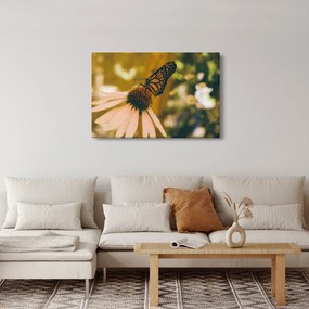 Tablou cu fluture pe floare (90x60 cm)