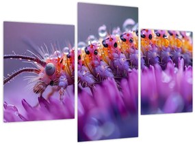 Tablou - Caterpillar (90x60 cm)