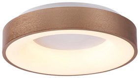 Plafoniera LED camera de zi, sufragerie, dormitor Carmella 5052 RX