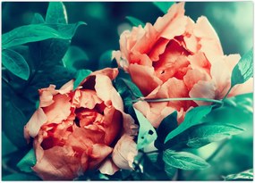 Tablou - Flori de primăvară (70x50 cm)