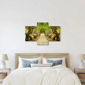 Tablou - Tunel viu din plumeria (90x60 cm)