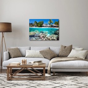 Tablou cu plaja pe insulă tropicală (70x50 cm)