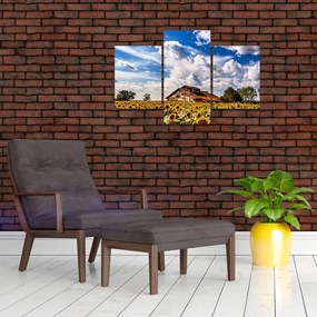 Tablou cu câmp de floarea soarelui (90x60 cm)