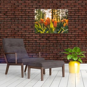 Tablou pe sticlă - florile lalelelor (70x50 cm)