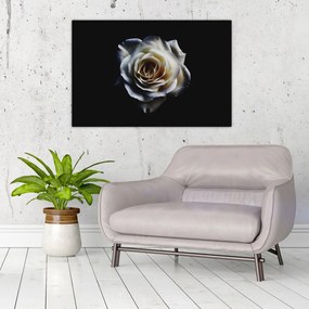 Tablou cu trandafir alb (90x60 cm)