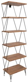 Biblioteca Balaban Pine