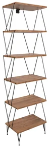 Bibliotecă Balaban Pine