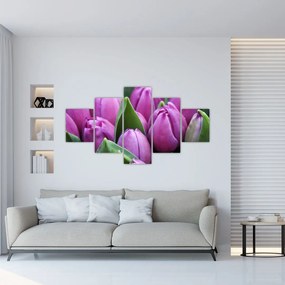 Tablou - florile lalelelor (125x70 cm), în 40 de alte dimensiuni noi