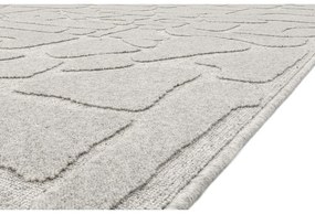 Covor gri deschis din lână 200x300 cm Morphic Dunes – Agnella