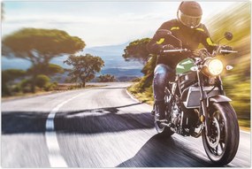 Tablou - Motociclist (90x60 cm)
