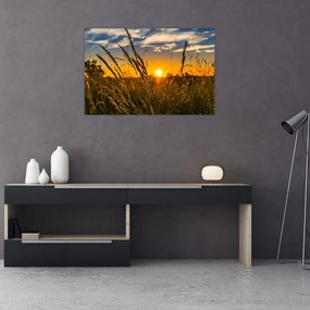 Tablou cu câmp în apus de soare (90x60 cm)