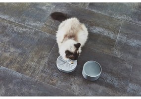 Bol pentru animale pentru pisici din porțelan ø 14 cm Fresco Concrete S – MiaCara