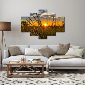 Tablou cu câmp în apus de soare (150x105 cm)
