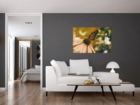 Tablou cu fluture pe floare (90x60 cm)