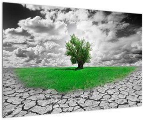 Tablou - O bucată de natură în oraș (90x60 cm)