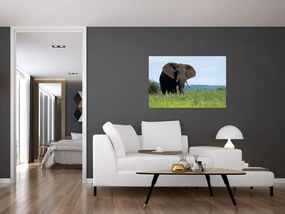 Tablou cu elefant (90x60 cm)