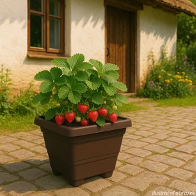 Jardinieră cu auto-irigare Plastia Bergamot 40 x 40 cm, maro, 40 x 40 cm
