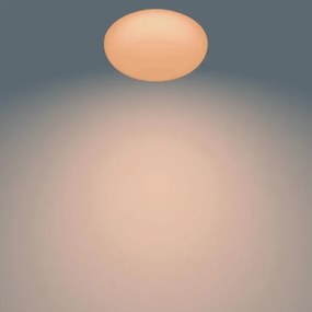 Philips TOBA LED plafonieră dimabilă 1x23W/230V cu telecomandă