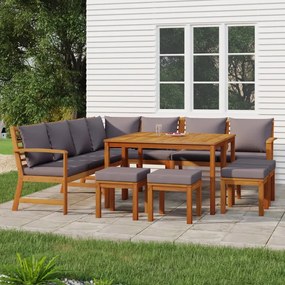 3154973 vidaXL Set mobilier grădină cu perne, 11 piese, lemn masiv de acacia