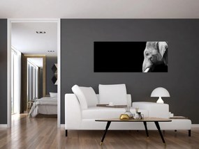 Tablou - Elefant (120x50 cm)