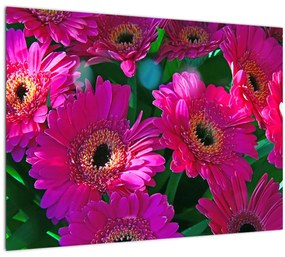 Tablou - floare (70x50 cm)
