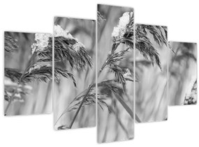 Tablou - Tei,alb-negru (150x105 cm)