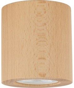 Spot EVE 1xGU10/10W/230V fag