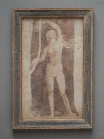 Tablou decorativ, cu rama din lemn de pin, aspect vintage, Nymphea