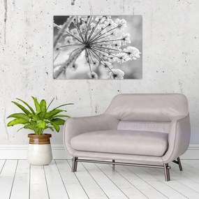 Tablou pe sticlă - Floare în timpul iernii (70x50 cm)