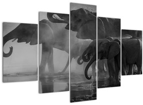 Tablou cu elefanți - albnegru (150x105 cm)