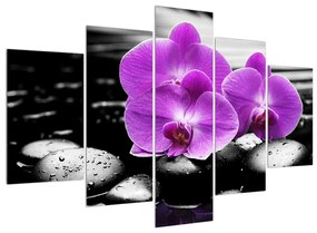 Tablou cu flori de orhidee (150x105 cm)