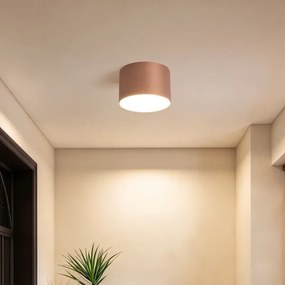 BRILAGI - Plafonieră de exterior FORIS LED/9W/230V Ø 9 cm bronz IP44
