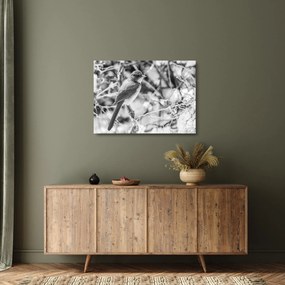 Tablou pe sticlă - Bluebird în timpul iernii (70x50 cm)