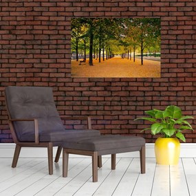 Tablou cu alee cu copaci în toamnă (90x60 cm)