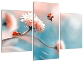Tablou - Buburuze pe floare (90x60 cm)