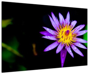 Tablou cu floare (90x60 cm)
