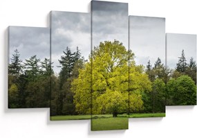 Tablou - Copac verde în câmp (150x105 cm)