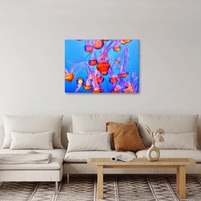Tablou cu meduse în mare (70x50 cm)