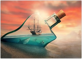 Tablou - Viața in sticla (70x50 cm)