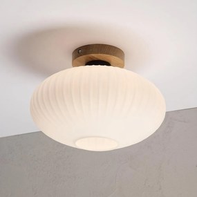 Plafonieră HARMA WOOD 1xE27/15W/230V stejar/alb Ø 30 cm